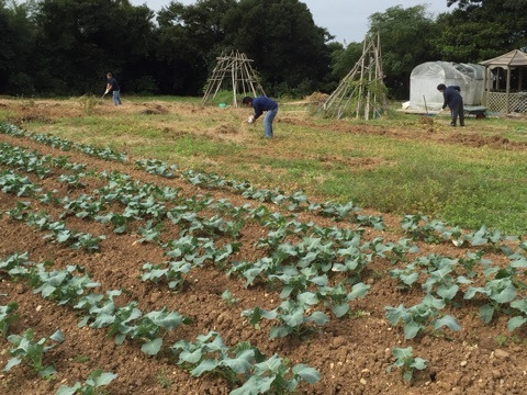 {E7184308-6547-42EC-BFAB-D4DBD510876C:01}