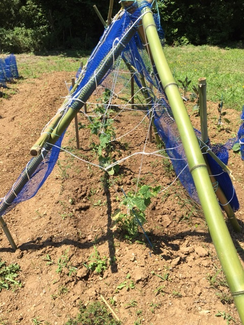 {DFB0EFAC-F410-4D8E-9A53-473E4F2464BB:01}