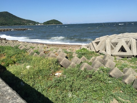 {FA09F688-27DE-4581-AB54-6527E1F9E674:01}