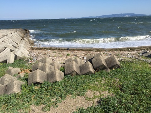 {A31637E4-9137-4890-9636-D3D68FDFB576:01}