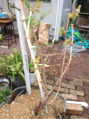 {6370BE0E-E273-4B73-883C-02319AE06ABC}