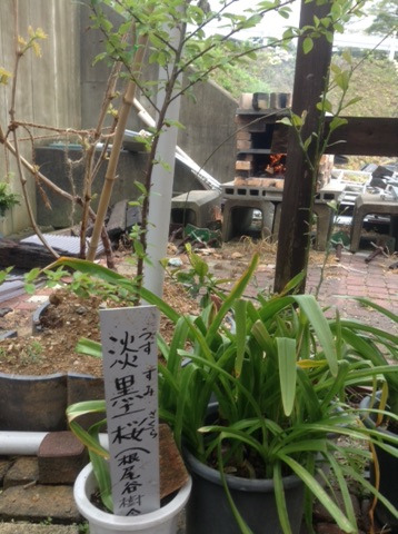 {12665D10-53E0-4EE2-A0E6-577B2E035B24}