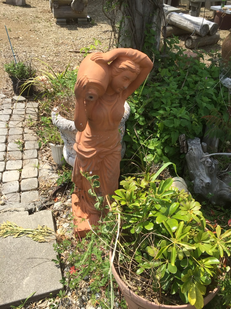 {B66443A6-E621-4B76-B609-ADA7D32F9A88}